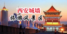 r人人人自拍在线视频中国陕西-西安城墙旅游风景区